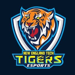 New England Tech Tigers} profile picture