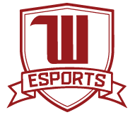 Witt_Esports} profile picture