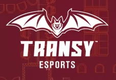 Transy Esports} profile picture